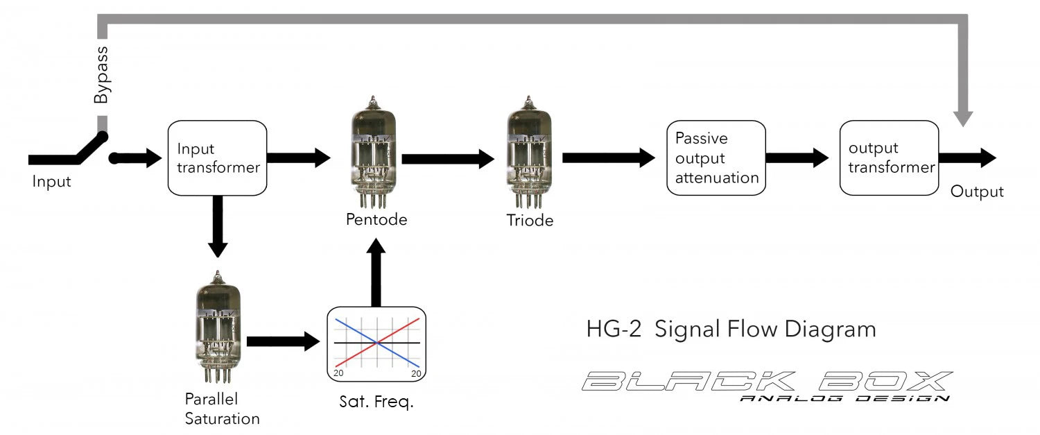 Black Box HG-2 | Procesador de saturación