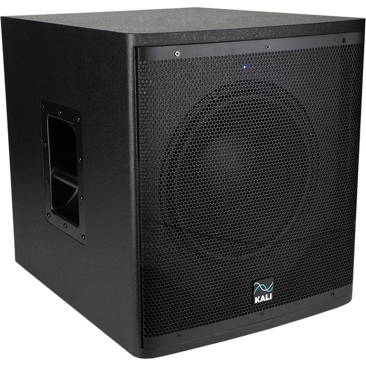 WS-12 - Subwoofer multipropósito